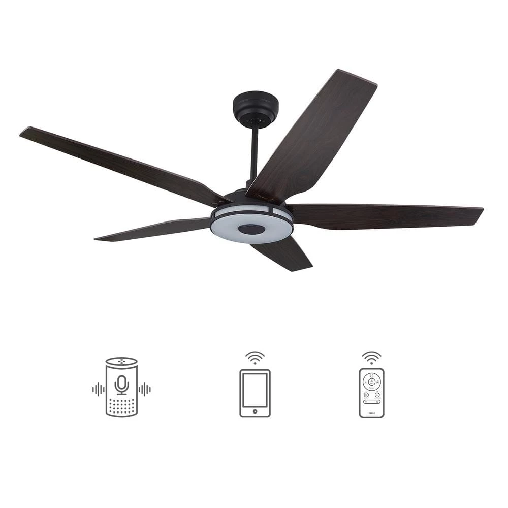 Starfish 56 in. Dimmable LED Indoor/Outdoor Black Smart Ceiling Fan with Light and Remote, Works with Alexa/Google Home by CARRO 3 Starfish 56 in. Dimmable LED Indoor/Outdoor Black Smart Ceiling Fan with Light and Remote, Works with Alexa/Google Home by CARRO