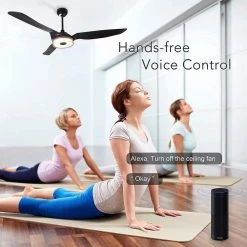 Finley 60 in. Dimmable LED Indoor/Outdoor Black Smart Ceiling Fan, Light and Remote, Works with Alexa/Google Home/Siri by CARRO 22 Finley 60 in. Dimmable LED Indoor/Outdoor Black Smart Ceiling Fan, Light and Remote, Works with Alexa/Google Home/Siri by CARRO -Decor Therapy Shop black carro ceiling fans with lights ns603f l13 b2 44 1000