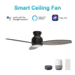 Trendsetter 52 in. Dimmable LED Indoor/Outdoor Black Smart Ceiling Fan with Light and Remote, Works w/Alexa/Google Home by CARRO -Decor Therapy Shop black carro ceiling fans with lights s523q l12 bg 1 c3 1000