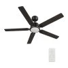 Essex 52 in. Integrated LED Indoor/Outdoor Black Smart Ceiling Fan with Light and Remote, Works w/Alexa/Google Home by CARRO