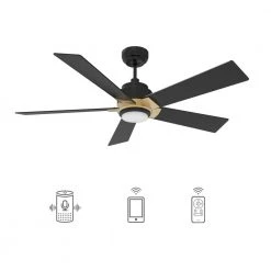 Aspen 52 in. Dimmable LED Indoor/Outdoor Black Smart Ceiling Fan with Light and Remote, Works with Alexa/Google Home by CARRO
