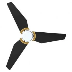 Brently 56 in. Dimmable LED Indoor/Outdoor Black Smart Ceiling Fan with Light and Remote, Works w/ Alexa/Google Home by CARRO -Decor Therapy Shop black carro ceiling fans with lights s563b l12 b2 1g 1f 1000
