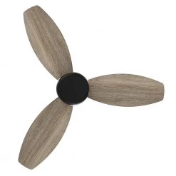 Trendsetter 48 in. Indoor Black 10-Speed DC Motor Flush Mount Ceiling Fan with Remote Control by CARRO -Decor Therapy Shop black carro ceiling fans without lights hc483q n10 bo 1 fm 44 1000