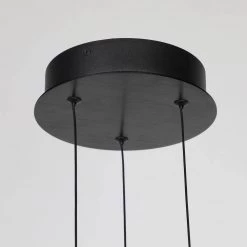 Seville 21-Watt Integrated LED Black Pendant with Frosted Acrylic Shades by CARRO -Decor Therapy Shop black carro chandeliers p m2011031b1 44 1000