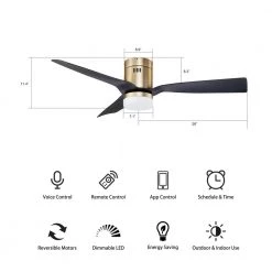 Striver 52 in. Indoor/Outdoor Gold Smart Ceiling Fan, Dimmable LED Light and Remote, Works with Alexa/Google Home/Siri by CARRO -Decor Therapy Shop gold carro ceiling fans with lights s523p l12 g2 1 fm 76 1000