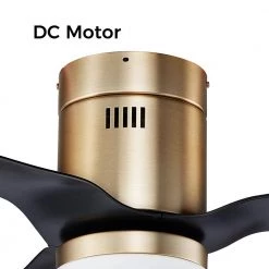 Striver 52 in. Indoor/Outdoor Gold Smart Ceiling Fan, Dimmable LED Light and Remote, Works with Alexa/Google Home/Siri by CARRO -Decor Therapy Shop gold carro ceiling fans with lights s523p l12 g2 1 fm c3 1000