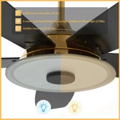 Hardley 56 in. Dimmable LED Indoor/Outdoor Gold Smart Ceiling Fan with Light and Remote, Works with Alexa/Google Home by CARRO -Decor Therapy Shop gold carro ceiling fans with lights s565h l13 g2 1 1f 1000