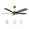 Hardley 56 in. Dimmable LED Indoor/Outdoor Gold Smart Ceiling Fan with Light and Remote, Works with Alexa/Google Home by CARRO -Decor Therapy Shop gold carro ceiling fans with lights s565h l13 g2 1 64 1000