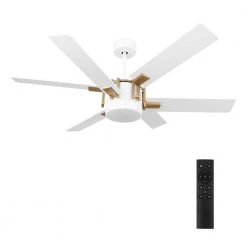 Sennin 52 in. Color Changing Integrated LED Indoor White DC Motor Ceiling Fan with Light Kit and Remote Control by CARRO