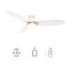 Biscay 48 in. Integrated LED Indoor/Outdoor White Smart Ceiling Fan with Light and Remote, Works with Alexa/Google Home by CARRO