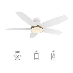 Levi 48 in. Dimmable LED Indoor/Outdoor White Smart Ceiling Fan with Light and Remote, Works with Alexa/Google Home by CARRO