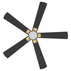 Granby 52 in. Integrated LED Indoor/Outdoor Black Smart Ceiling Fan with Light and Remote, Works with Alexa/Google Home by CARRO -Decor Therapy Shop white carro ceiling fans with lights hs525b5 l11 b2 1g 1f 1000