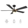 Granby 52 in. Integrated LED Indoor/Outdoor Black Smart Ceiling Fan with Light and Remote, Works with Alexa/Google Home by CARRO -Decor Therapy Shop white carro ceiling fans with lights hs525b5 l11 b2 1g 64 1000