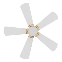 Bradford 52 in. Dimmable LED Indoor/Outdoor White Smart Ceiling Fan with Light and Remote, Works with Alexa/Google Home by CARRO -Decor Therapy Shop white carro ceiling fans with lights hs525b6 l12 w1 1g 1f 1000