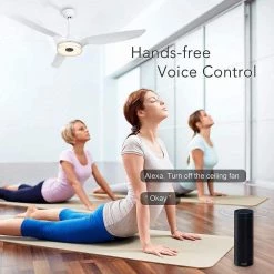 Finley 56 in. Dimmable LED Indoor/Outdoor White Smart Ceiling Fan, Light and Remote, Works with Alexa/Google Home/Siri by CARRO 22 Finley 56 in. Dimmable LED Indoor/Outdoor White Smart Ceiling Fan, Light and Remote, Works with Alexa/Google Home/Siri by CARRO -Decor Therapy Shop white carro ceiling fans with lights ns563f l13 w1 44 1000